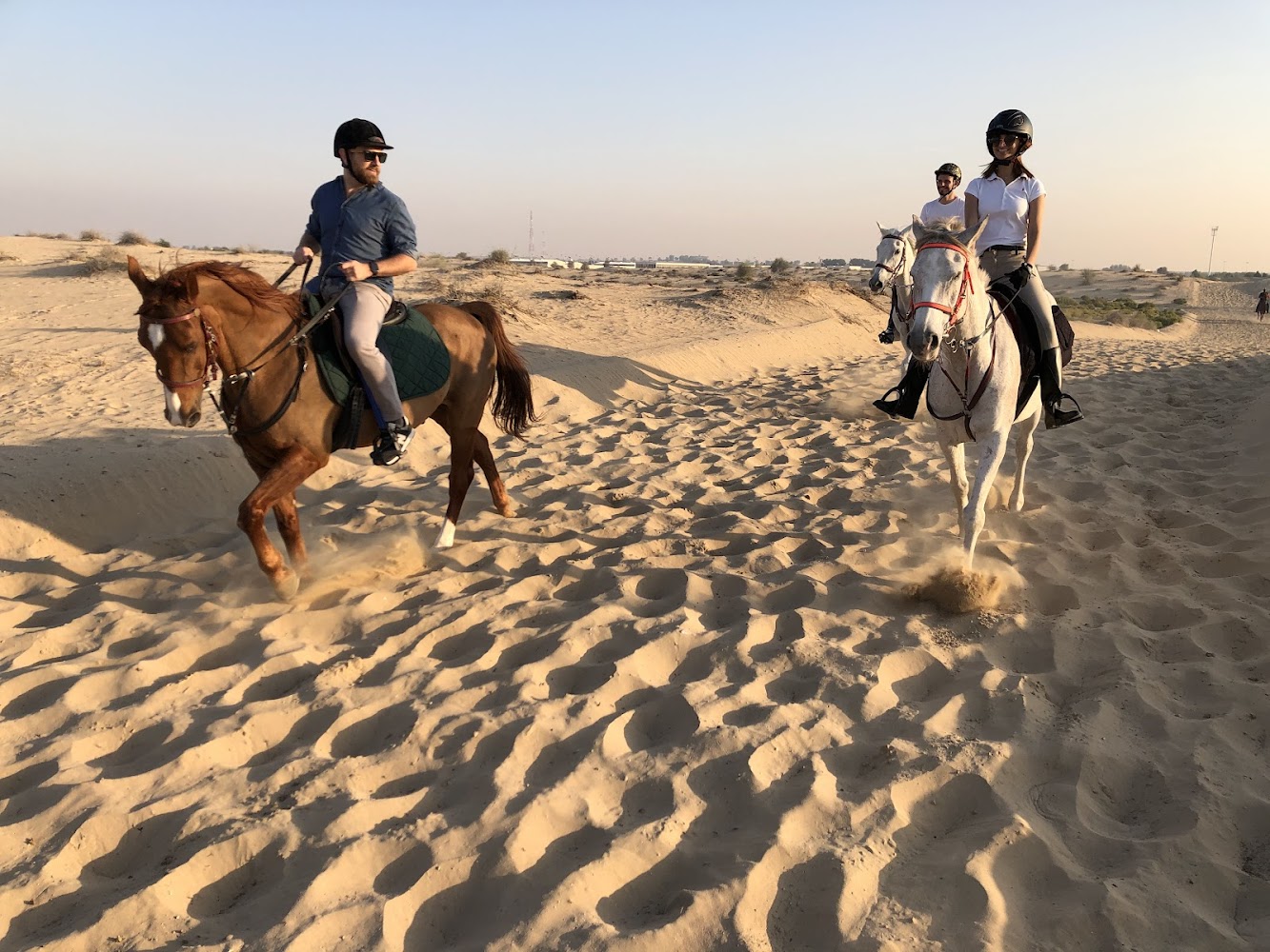 Al Jiyad Stables photo 2