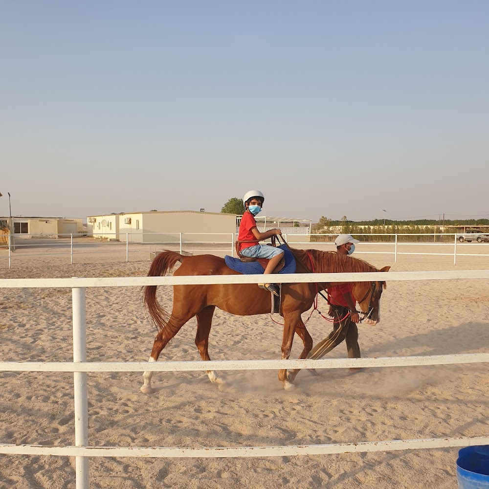 Al Lazaz Stable photo 2