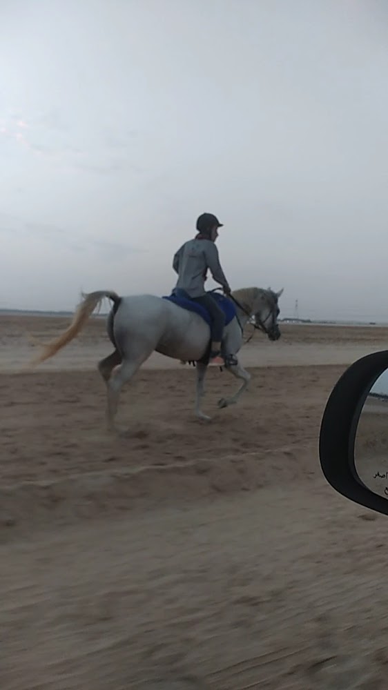 Al Lazaz Stable photo 3