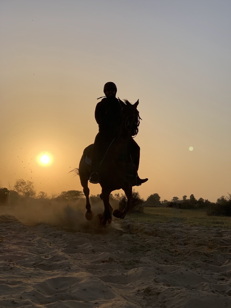 Al Madam 2 equestrian club- Horse Riding School photo 2