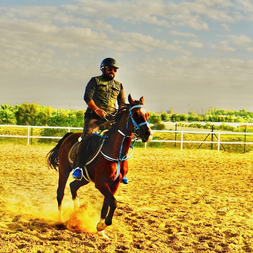 Al Madam 2 equestrian club- Horse Riding School photo 4