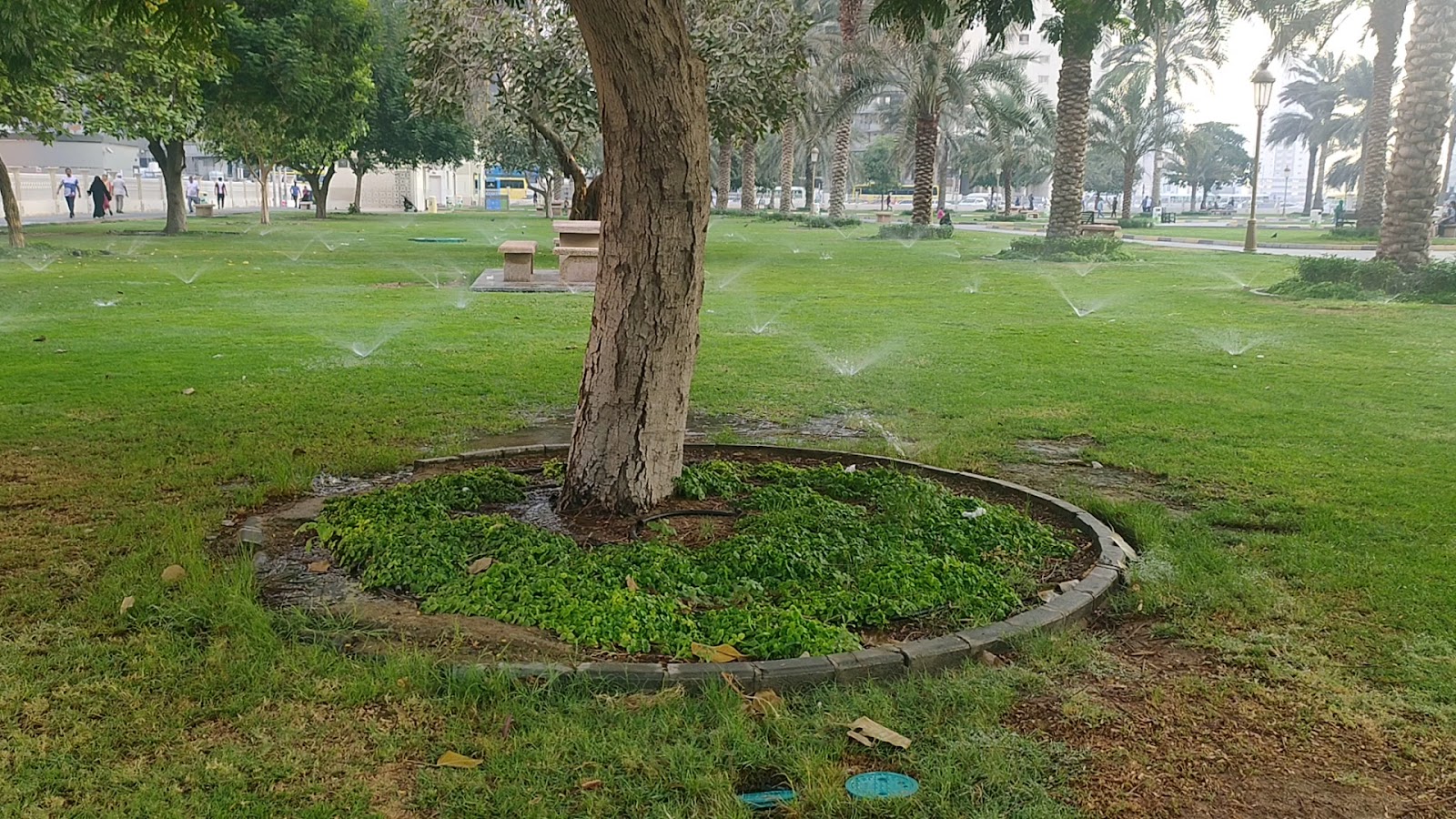 Al Nahda Park photo 2