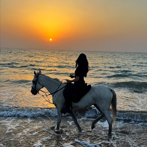 Al Namoos Stables - إسطبلات الناموس