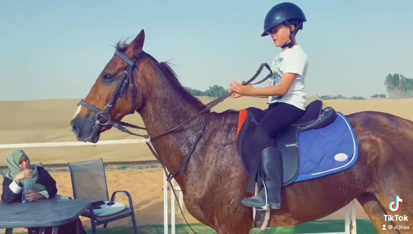 Al omar stables photo 3