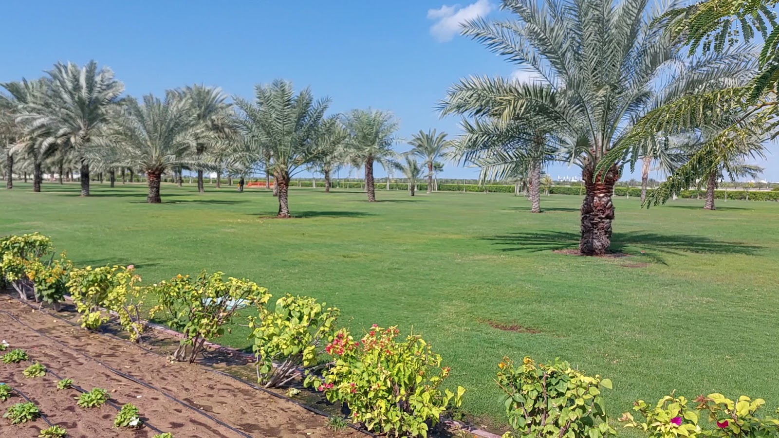 Al Safia Park photo 2