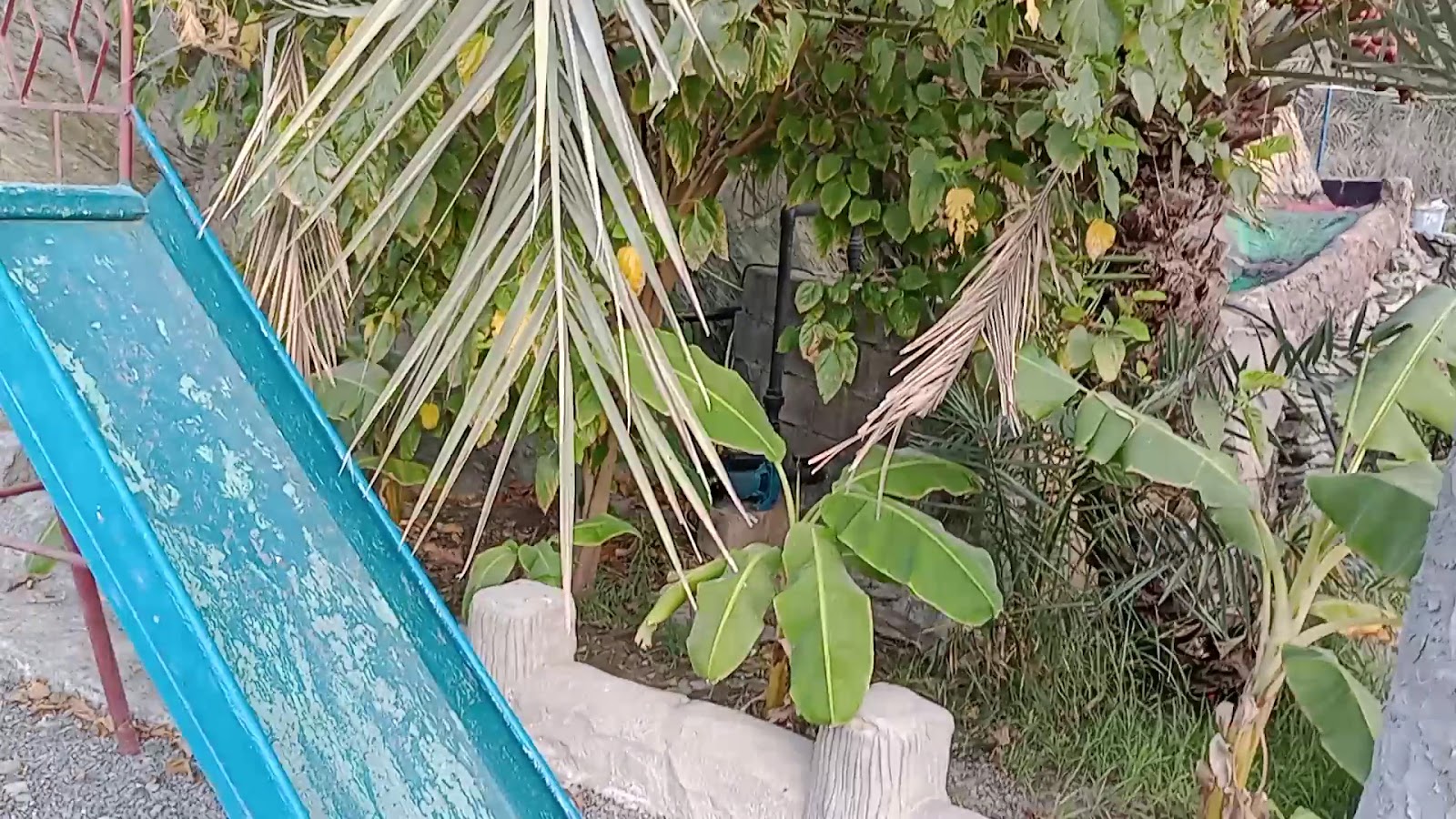 Al Taiba Heritage Museum متحف الطيبة التراثي photo 3