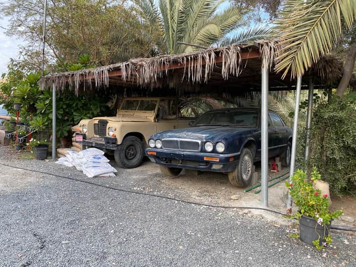 Al Taiba Heritage Museum متحف الطيبة التراثي photo 4