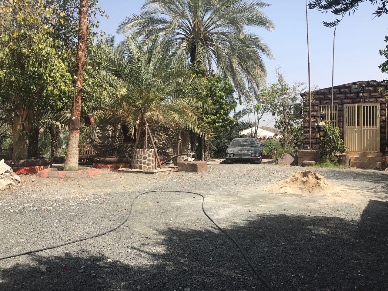 Al Taiba Heritage Museum متحف الطيبة التراثي photo 5