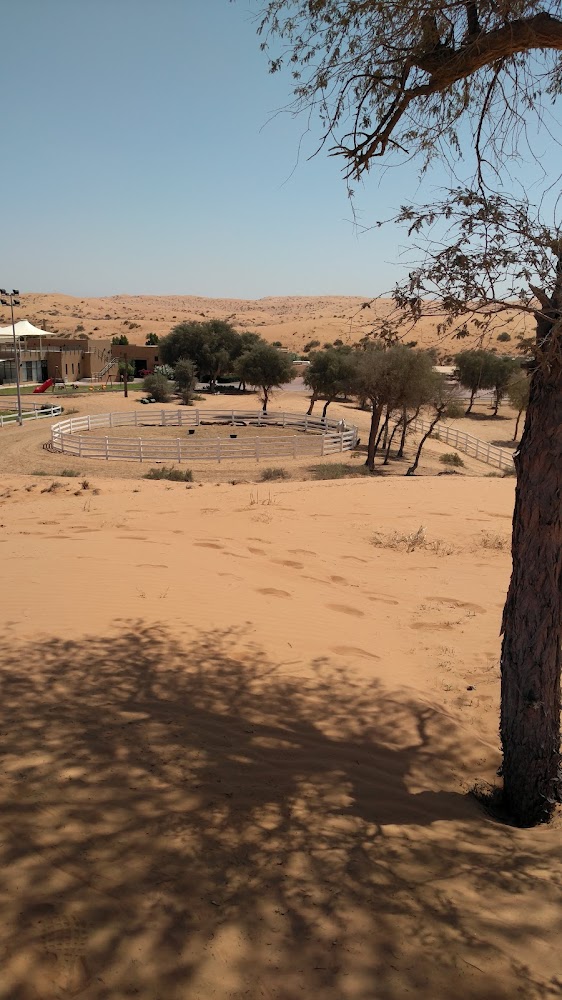 مركز الوادي للفروسية Al Wadi Equestrian Center photo 5