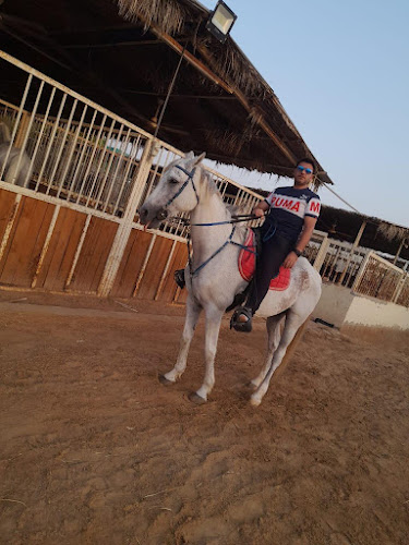 Al Walid stables - اسطبل الوليد