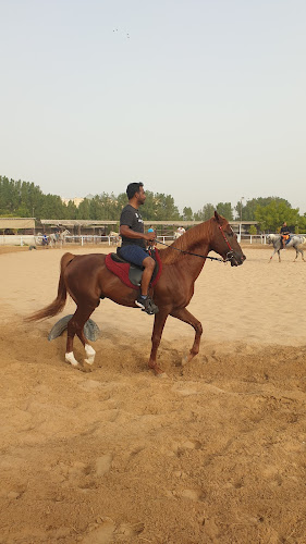 Al Wasl Equestrian Stables
