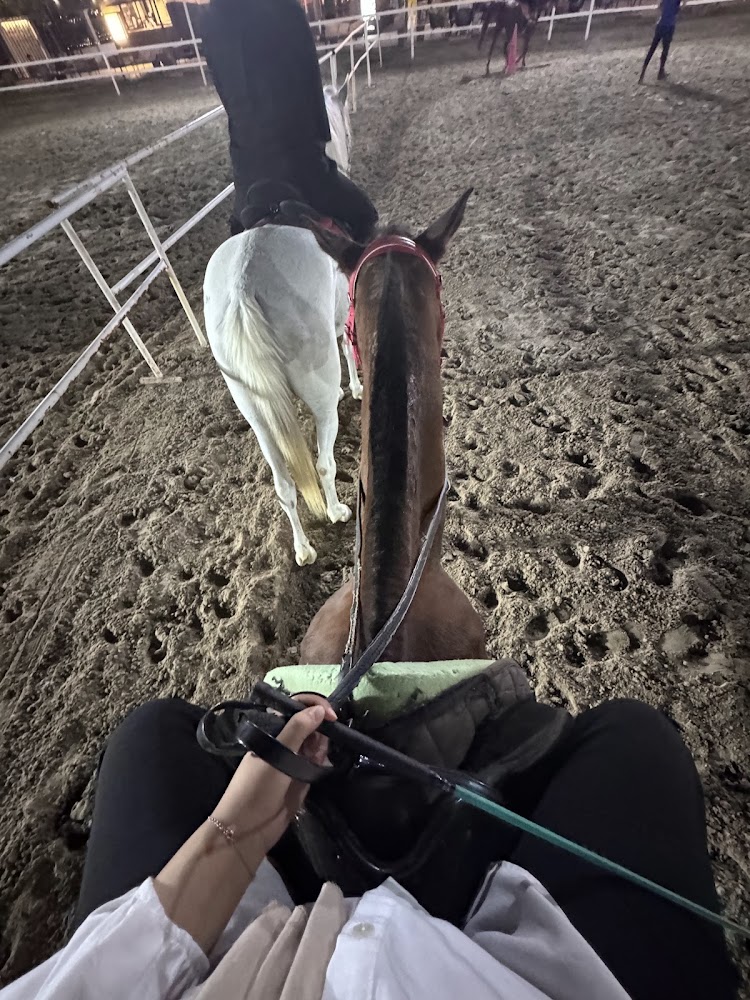 Al Wasl Equestrian Stables photo 2
