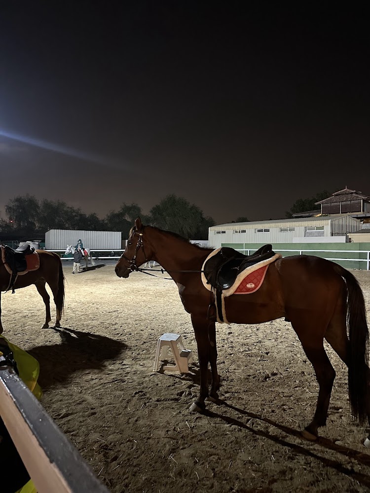 Al Wasl Equestrian Stables photo 4