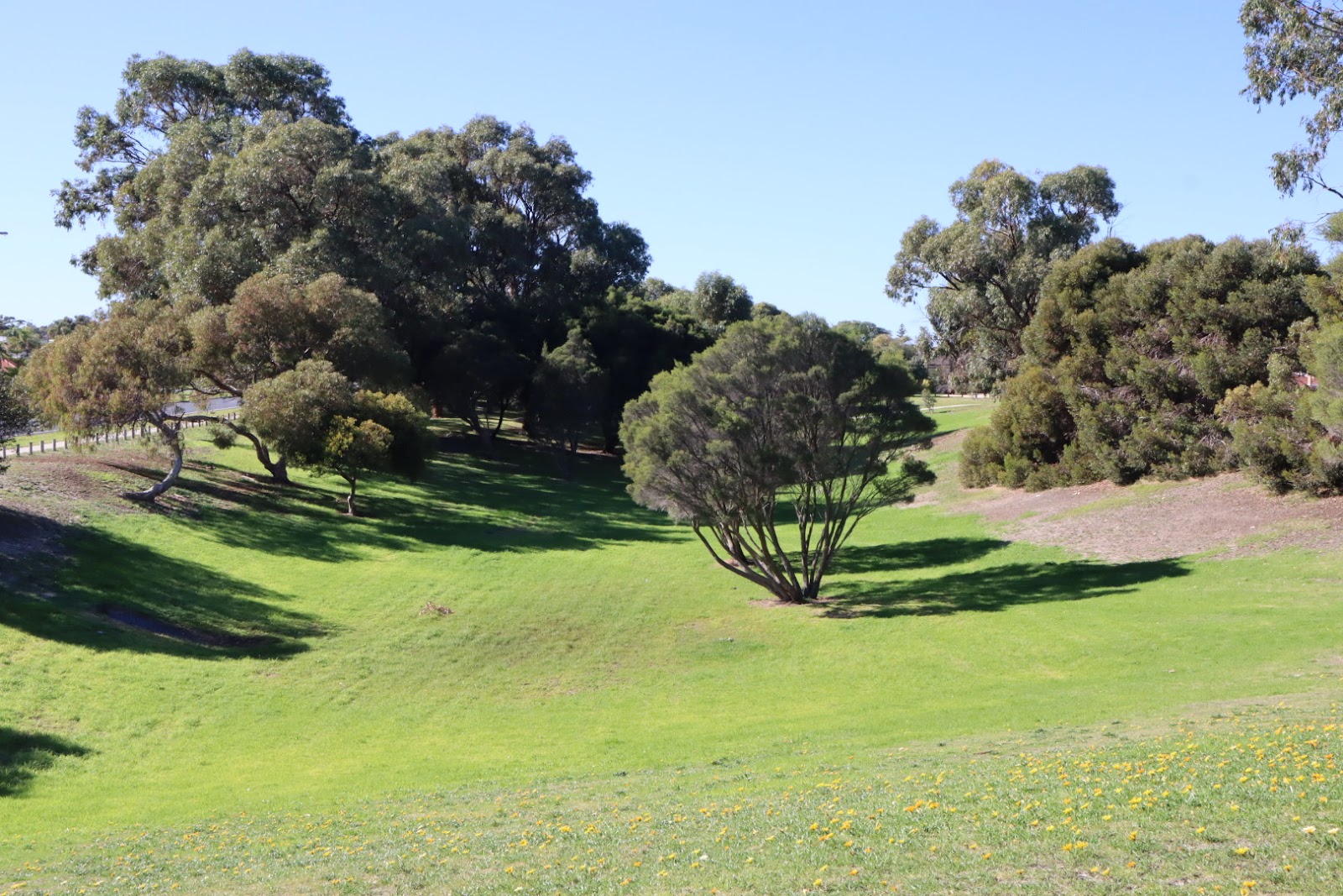 Albacore Park photo 2