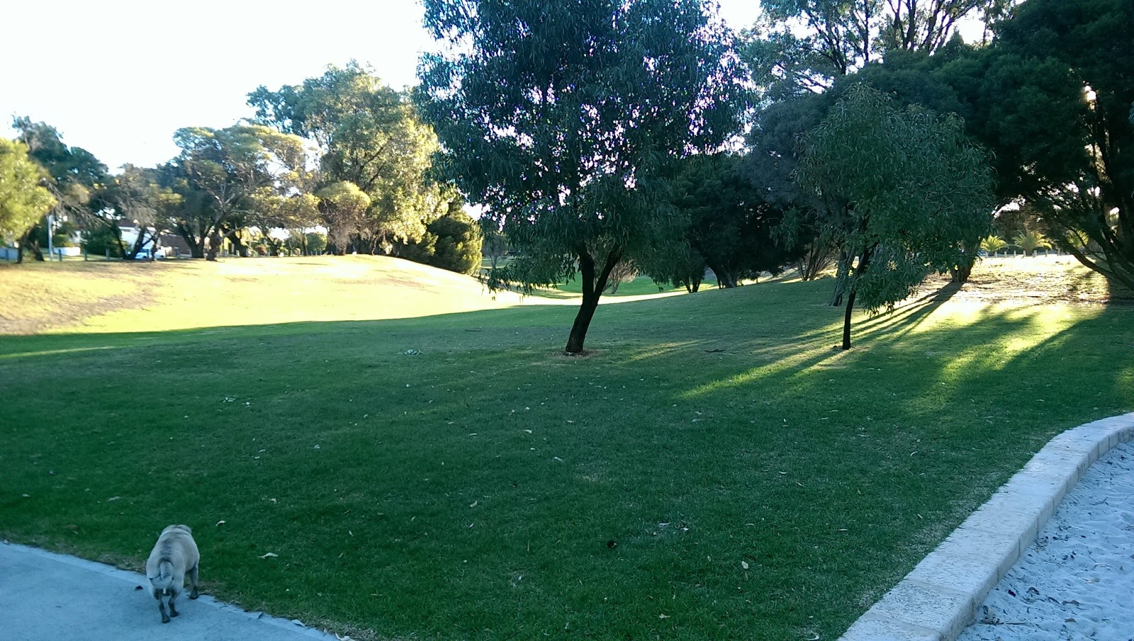 Albacore Park photo 3