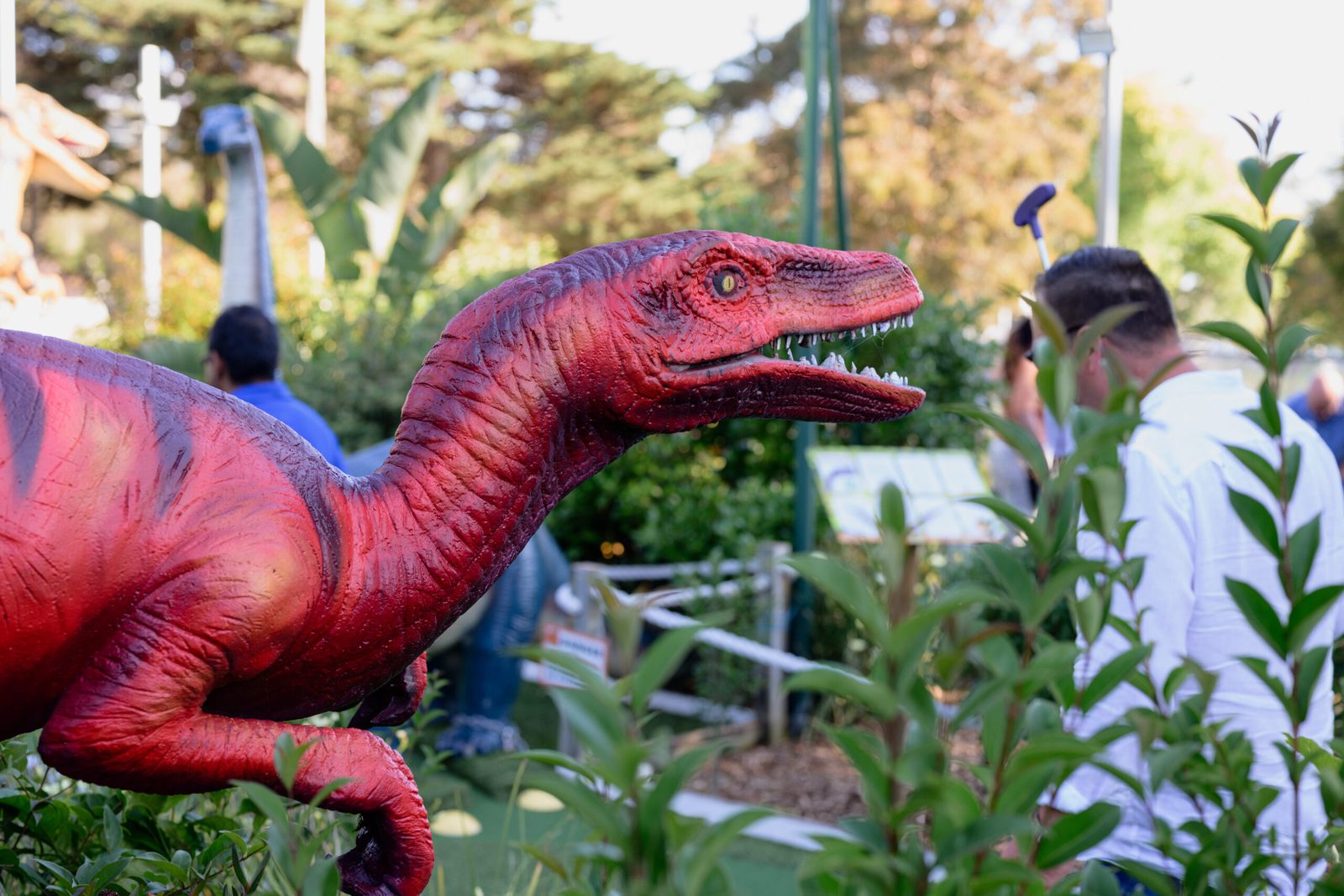 Albert Park Mini Golf