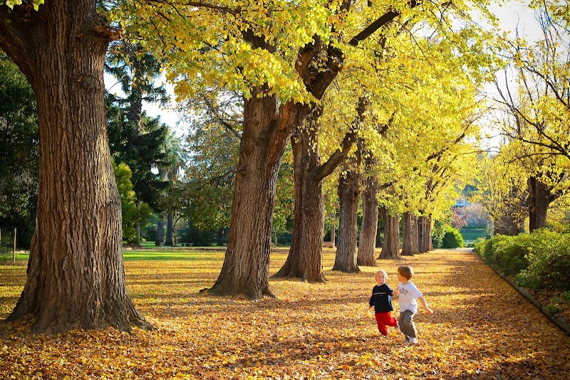 Albury Botanic Gardens