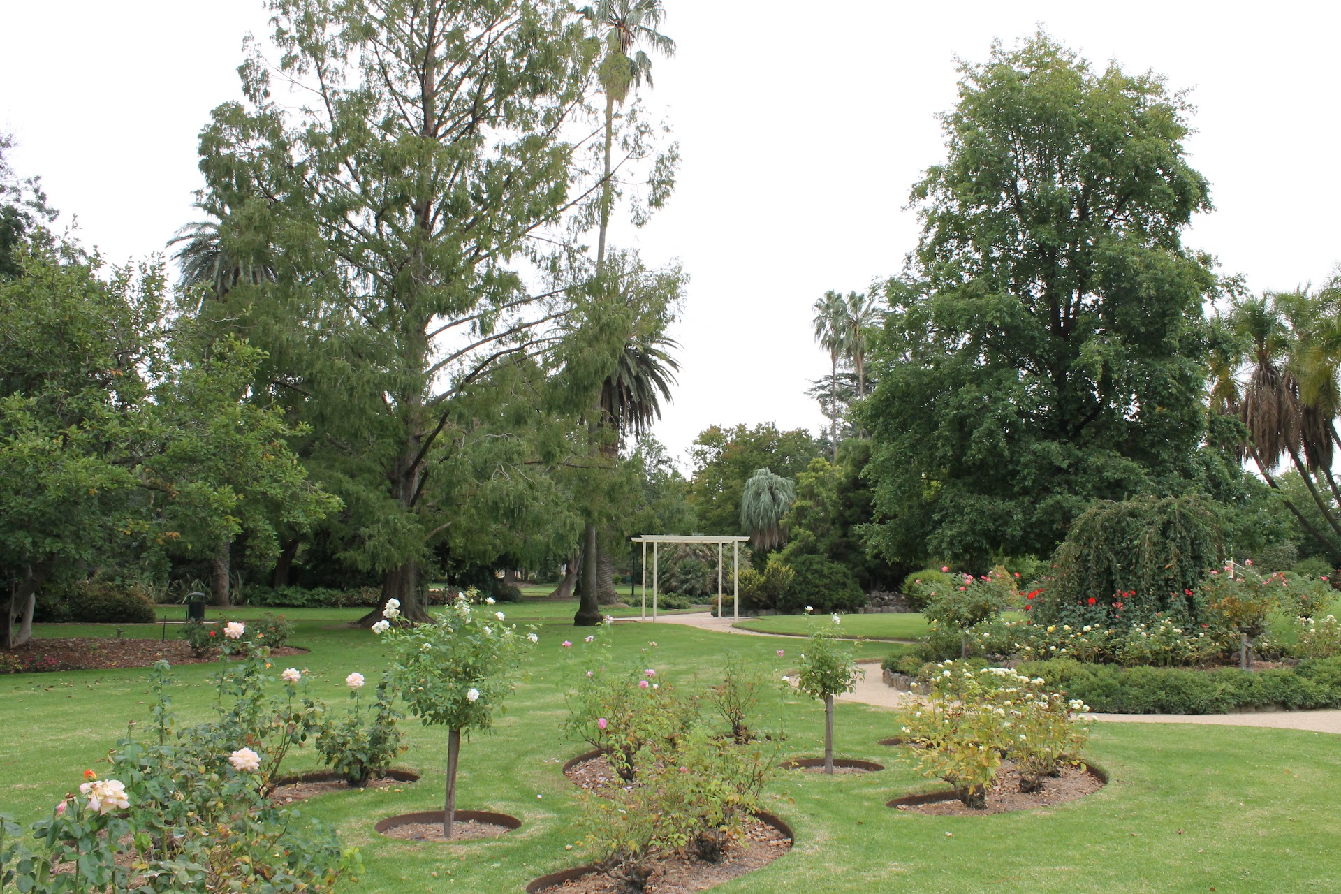 Albury Botanic Gardens photo 3
