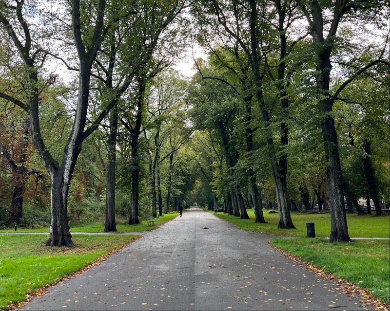 Alexandra Park