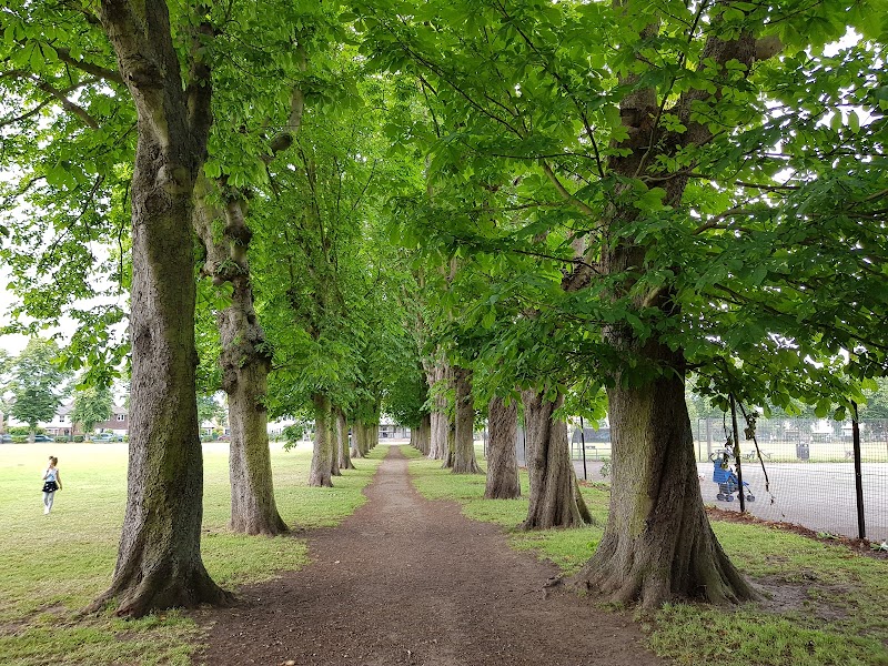 Alexandra Park photo 2
