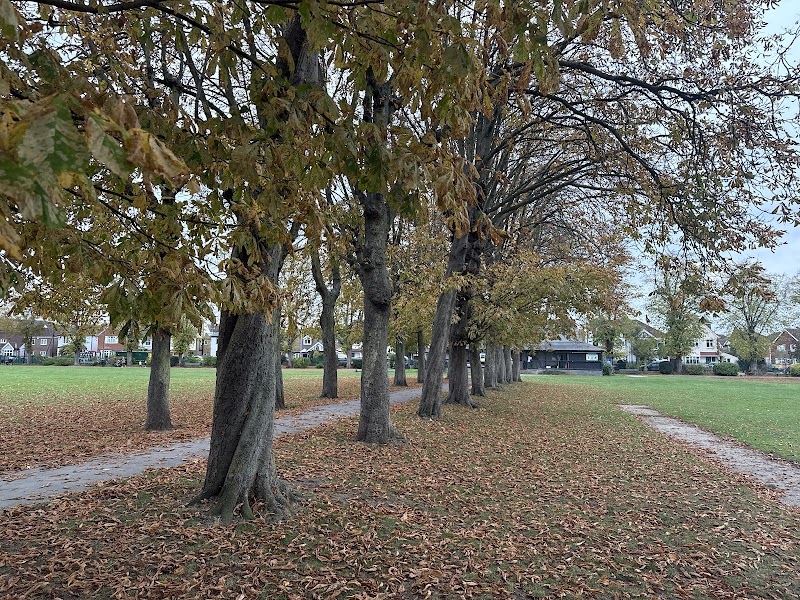 Alexandra Recreation Ground photo 3