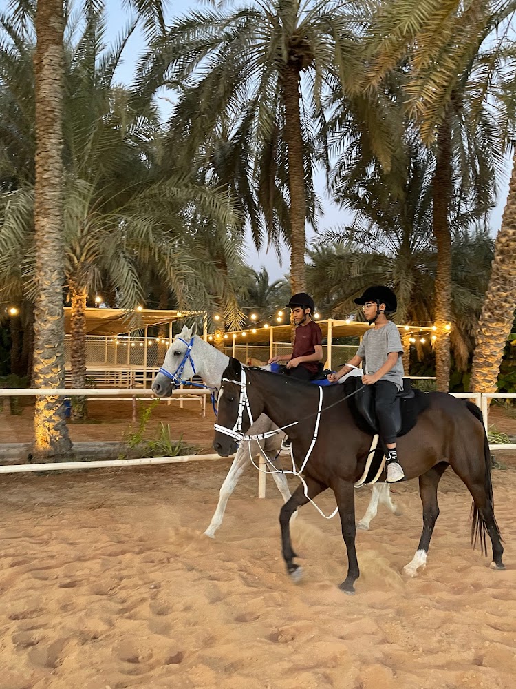 اسطبل الهاشمي alhashmi stable photo 2