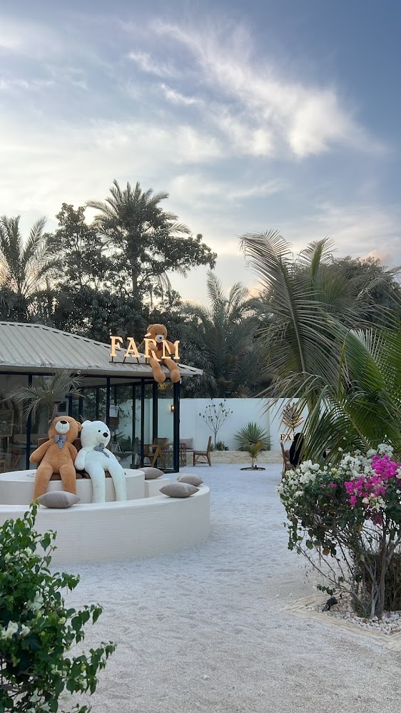 اسطبل الهاشمي alhashmi stable photo 5