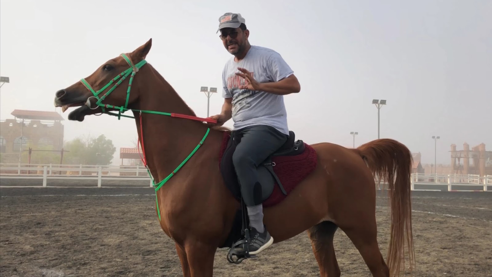 Alhulaifi equestrian club نادي الحليفي للفروسية photo 3