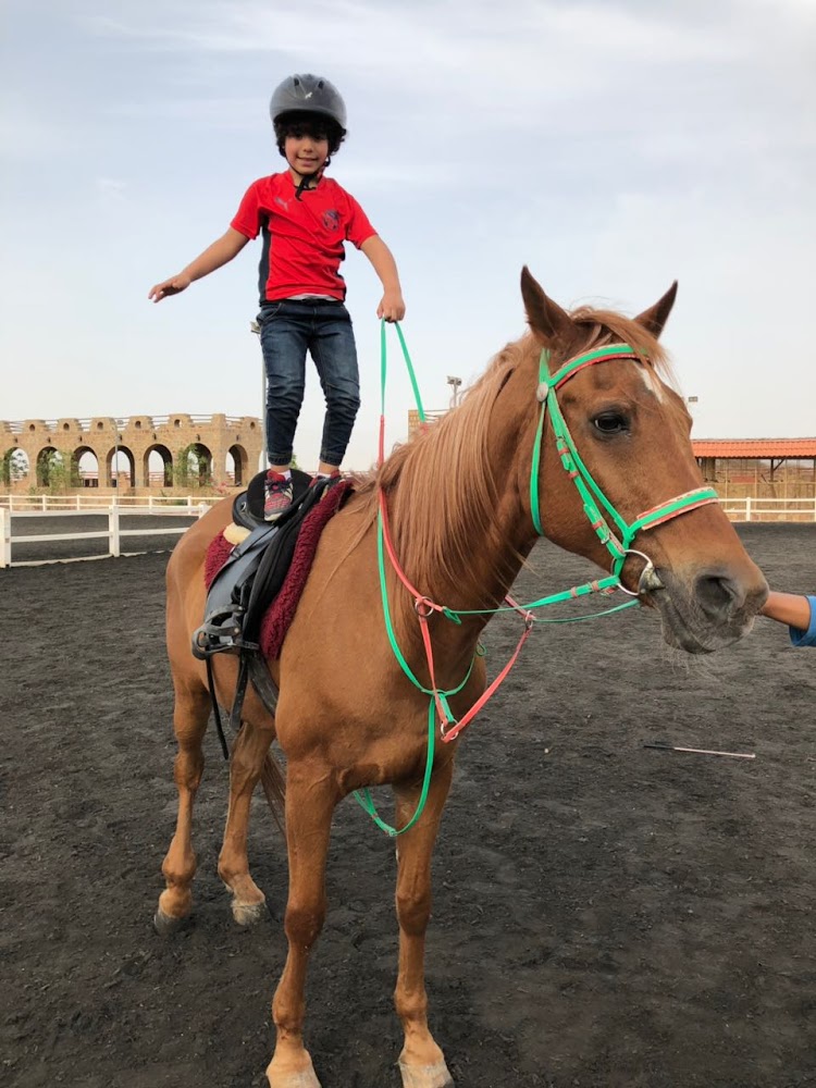 Alhulaifi equestrian club نادي الحليفي للفروسية photo 5