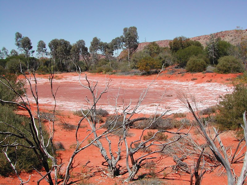 Alice Springs Desert Park photo 2