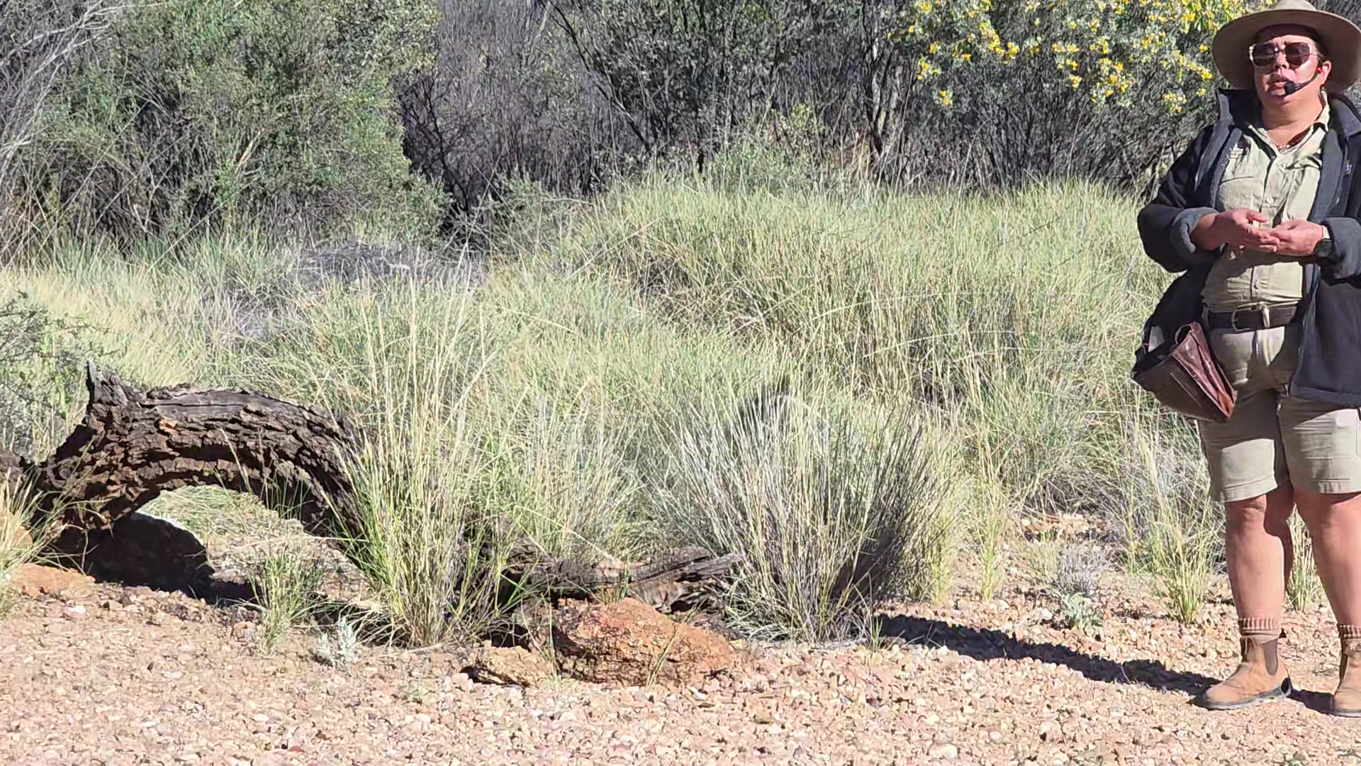 Alice Springs Desert Park photo 3