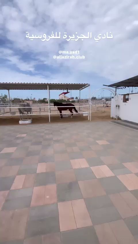 Aljazeerah equestrian club photo 3