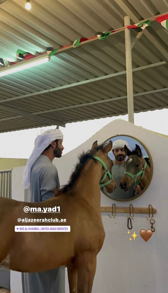 Aljazeerah equestrian club photo 4
