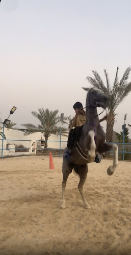 اسطبل الجوكر للفروسية Aljoker stable