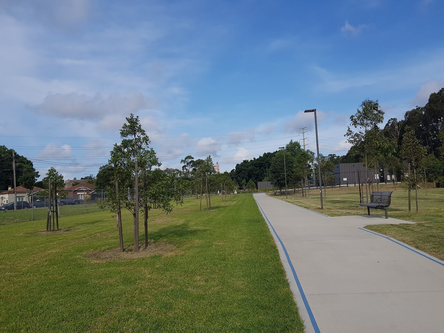 Allen Street Reserve Fenced Dog Park