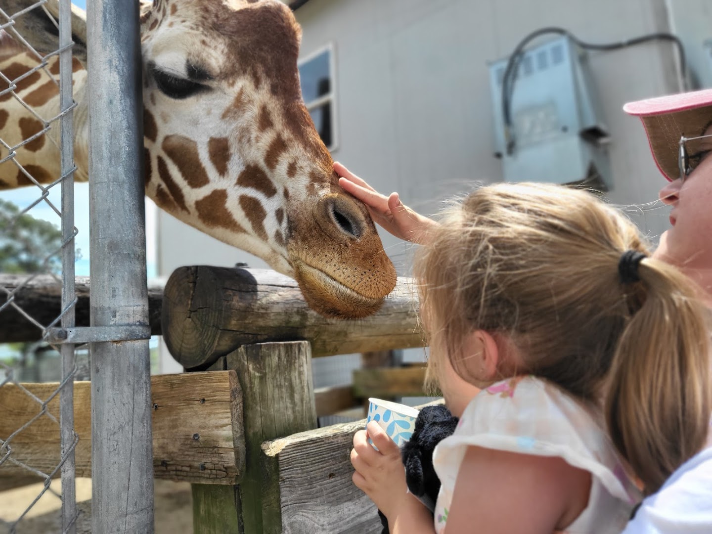 Photo of Aloha Safari Park in North Carolina