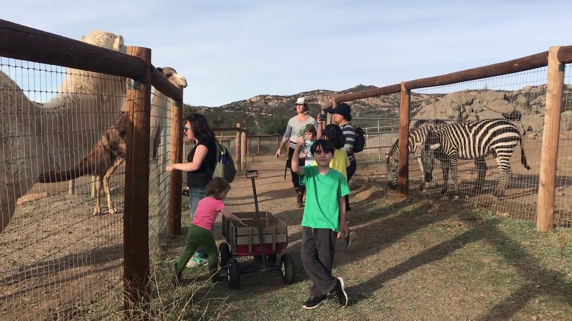 Photo of Alpine Acres Sanctuary Farm™ in California