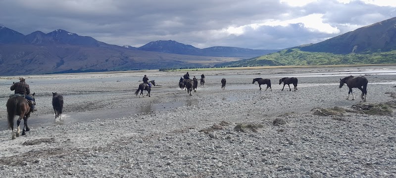 Photo of Alpine Horse Safaris in Canterbury