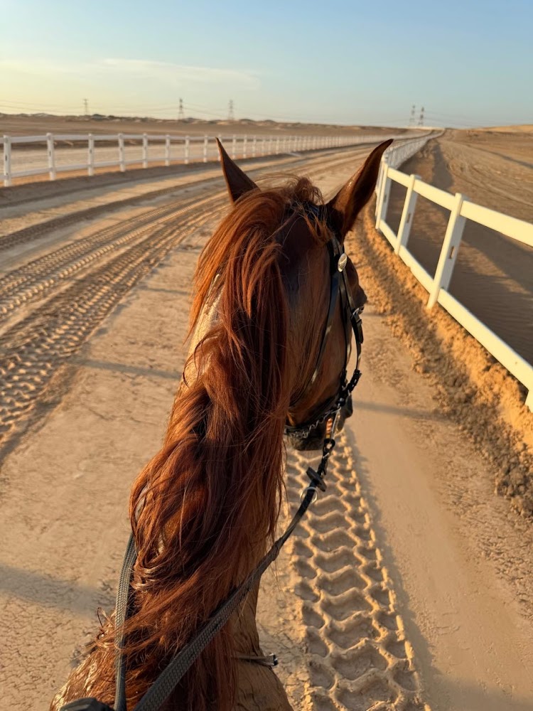 Alsultan Equestrian Club and Stables photo 2