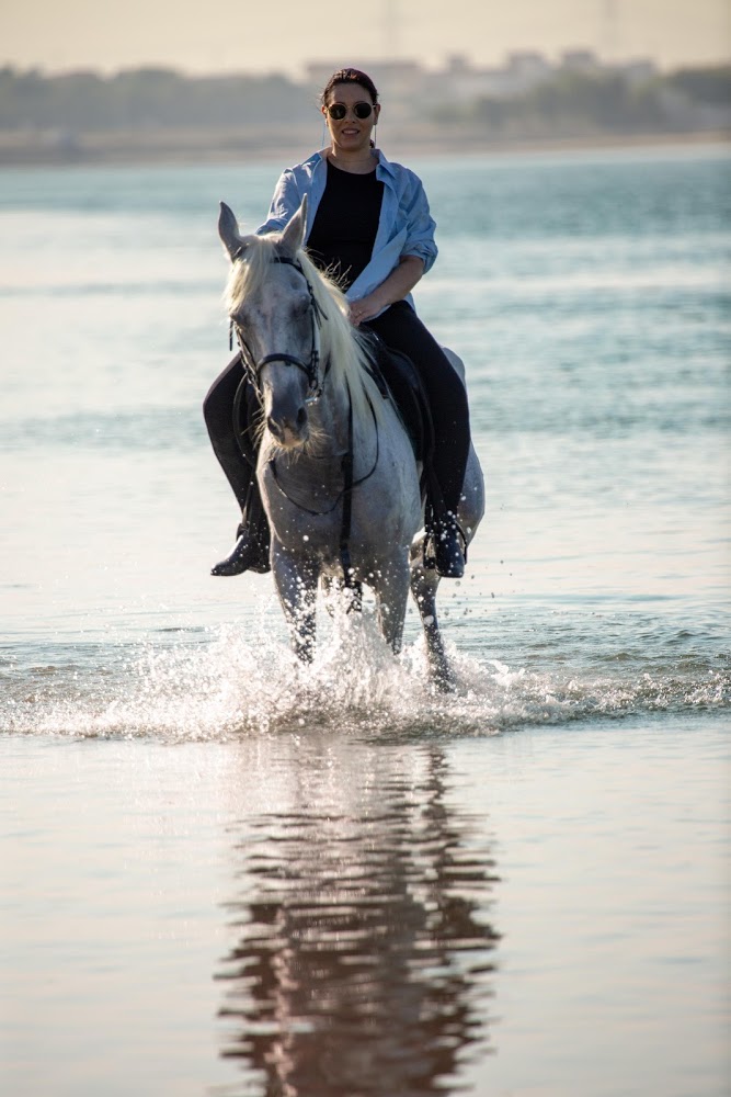 Alsultan Equestrian Club and Stables photo 4