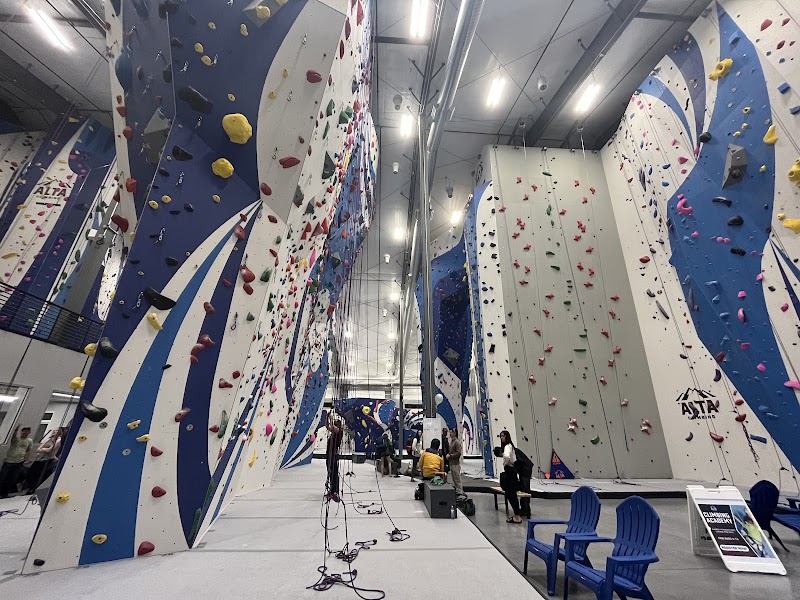 Alta Climbing and Fitness photo 2