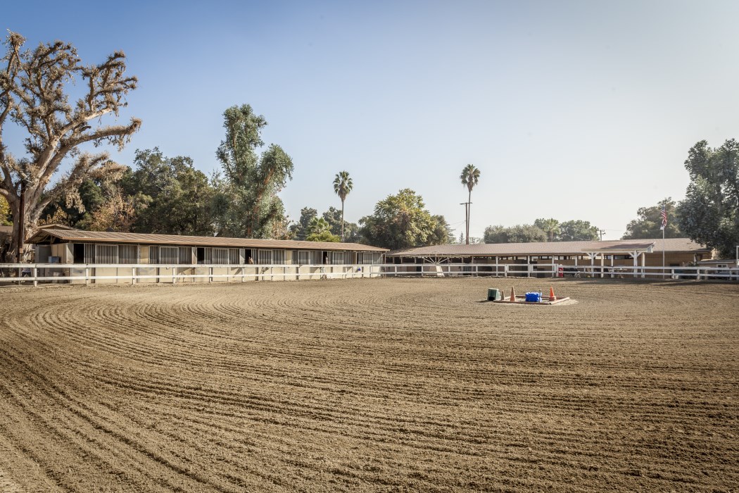 Altadena Stables photo 2