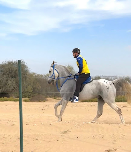 AMA stables alzubair