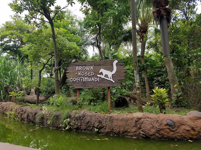 Amazon River Quest photo 2