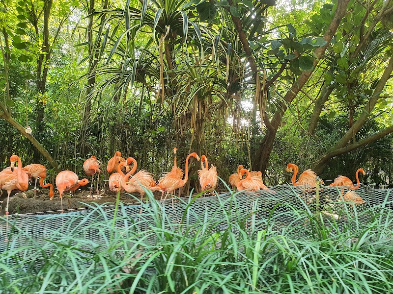 Amazon River Quest photo 3