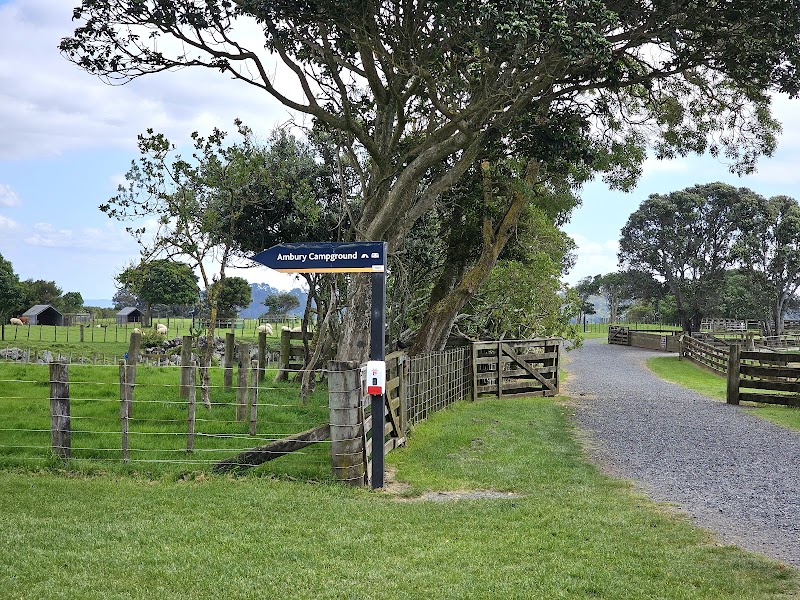 Ambury Farm photo 2