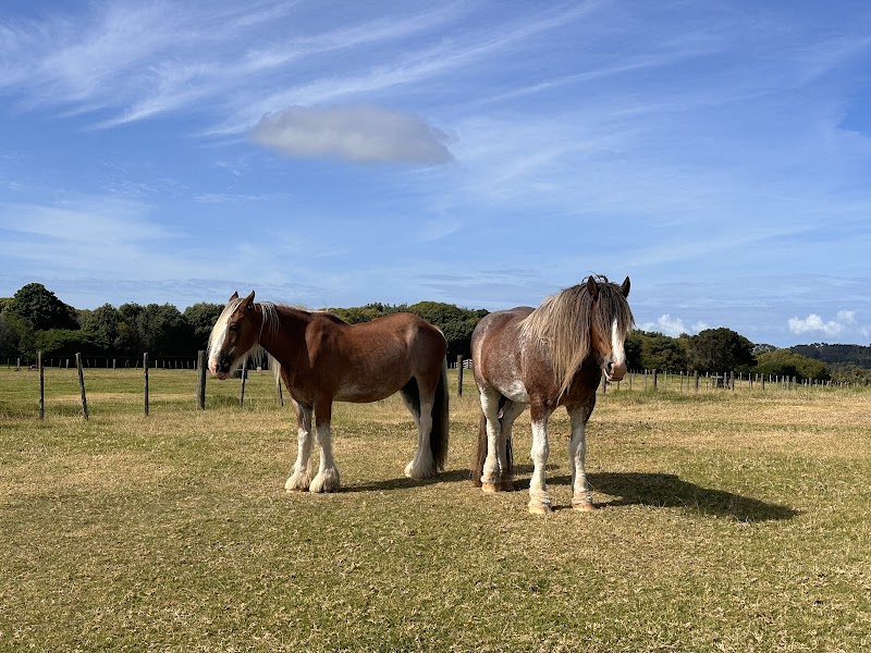 Ambury Regional Park photo 2