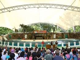 Amphitheater Show Animal Show Zoo Negara