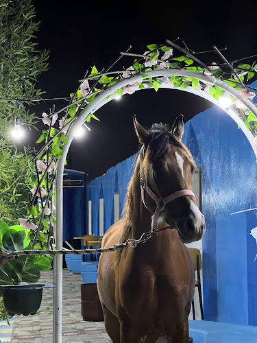 Amrasana horsing istable