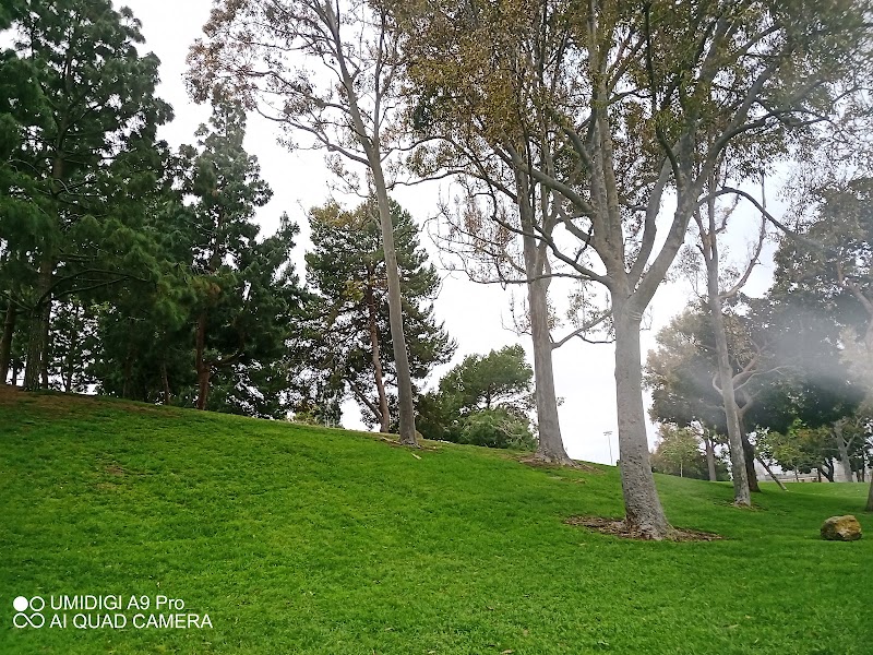 Angels Playground photo 3